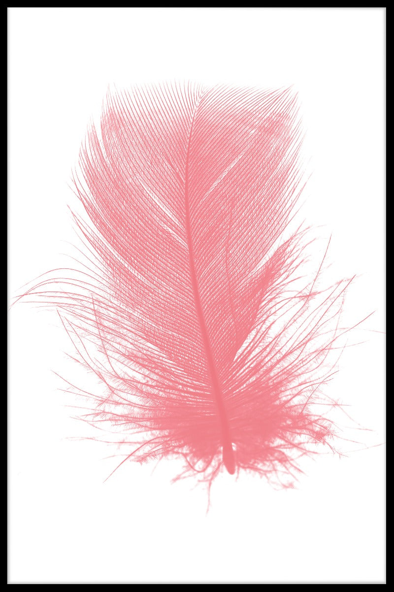 Pink Feather juliste