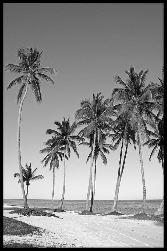 Black & White Beach N02 juliste