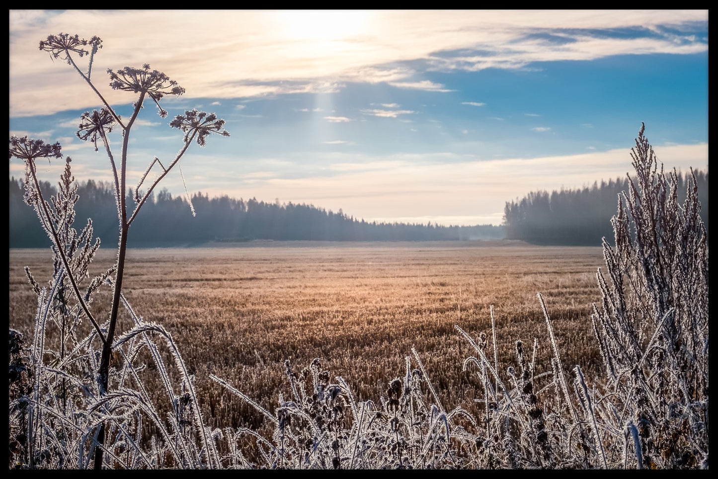 Frosty Landscape Finland juliste