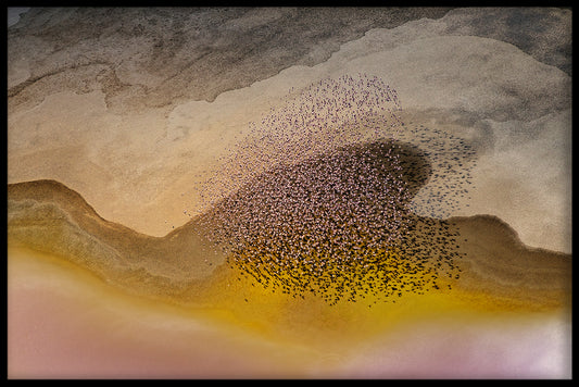 Crossing Natron Lake juliste