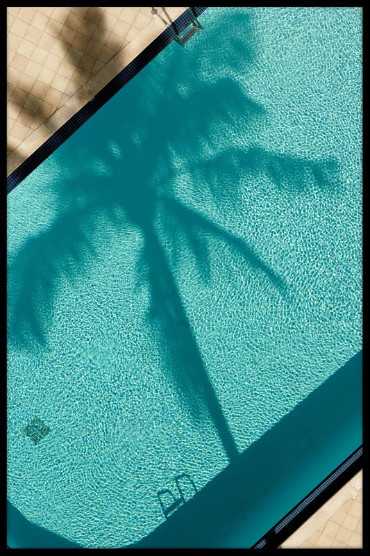 Palm Shadow juliste