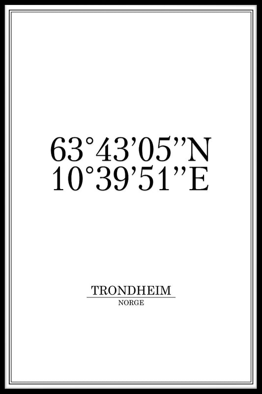 Trondheim Coordinates juliste