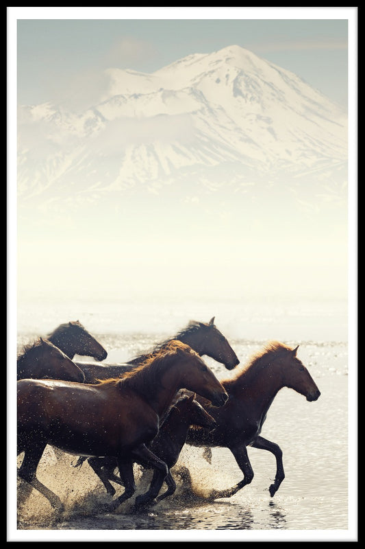 Wild Horses N02 juliste