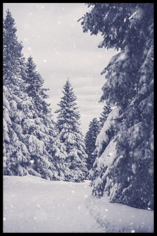 Winter Snow Forest juliste