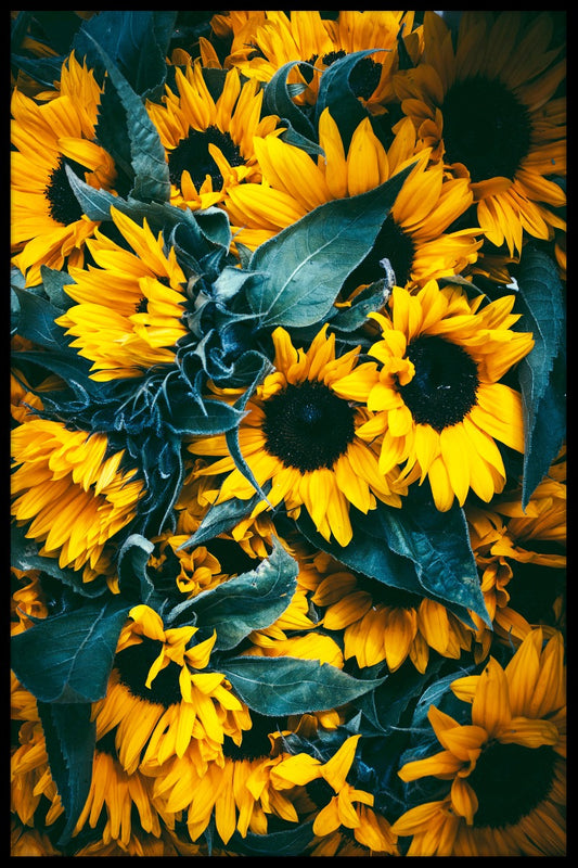Sunflowers juliste