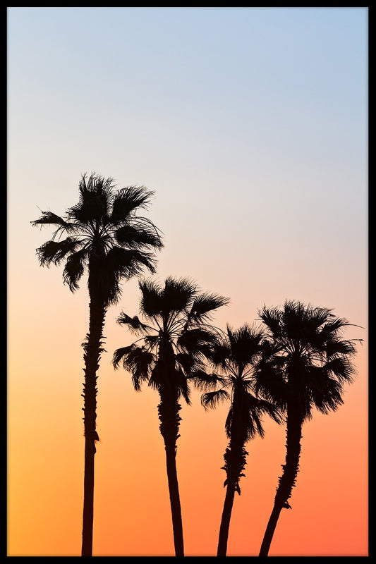 Palm Sunset juliste