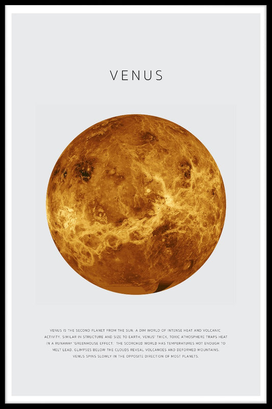 Venus juliste