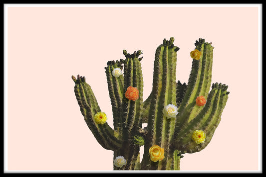 Floral Cactus juliste