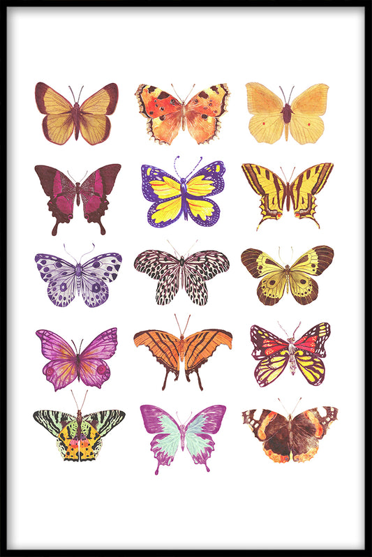 Butterflies juliste