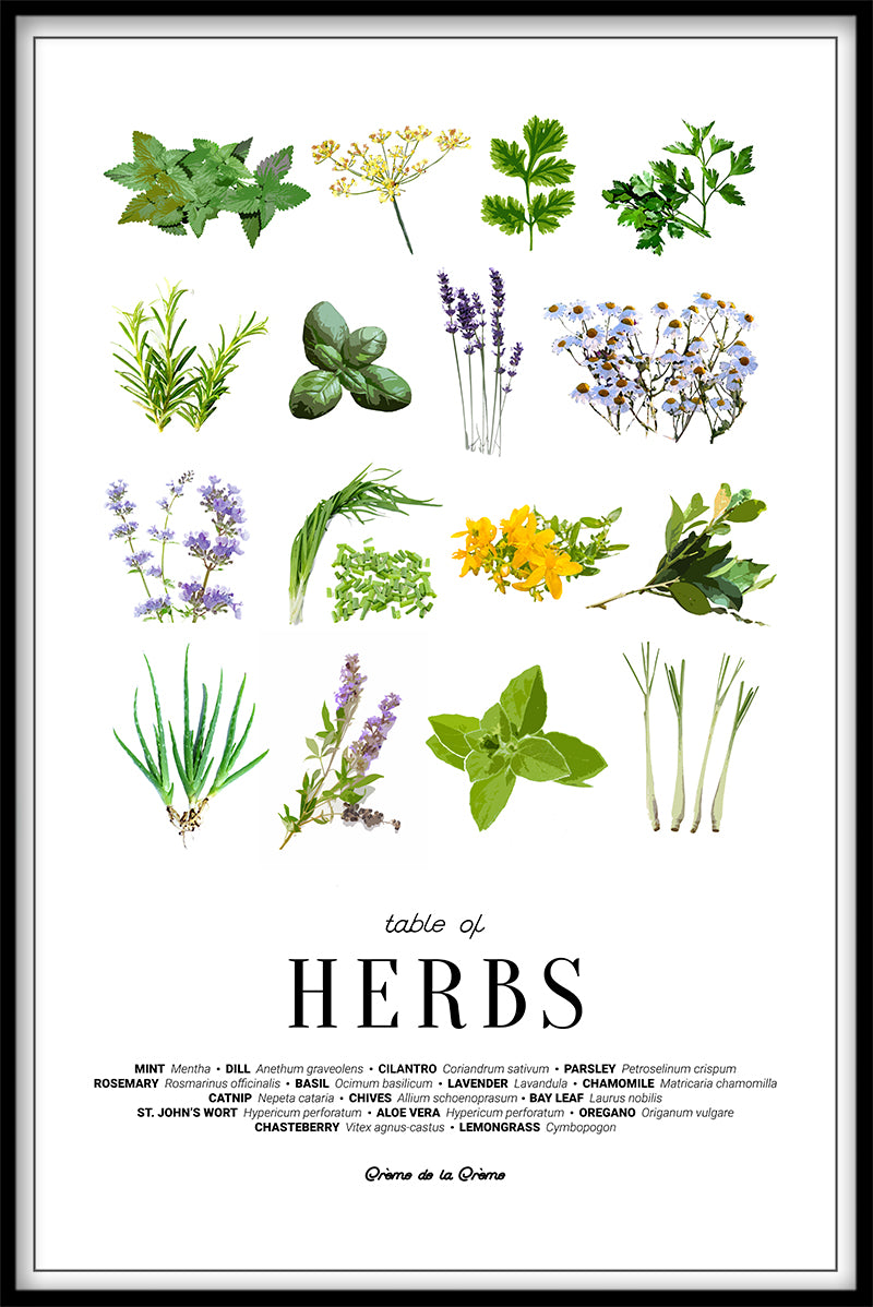 Table of Herbs juliste