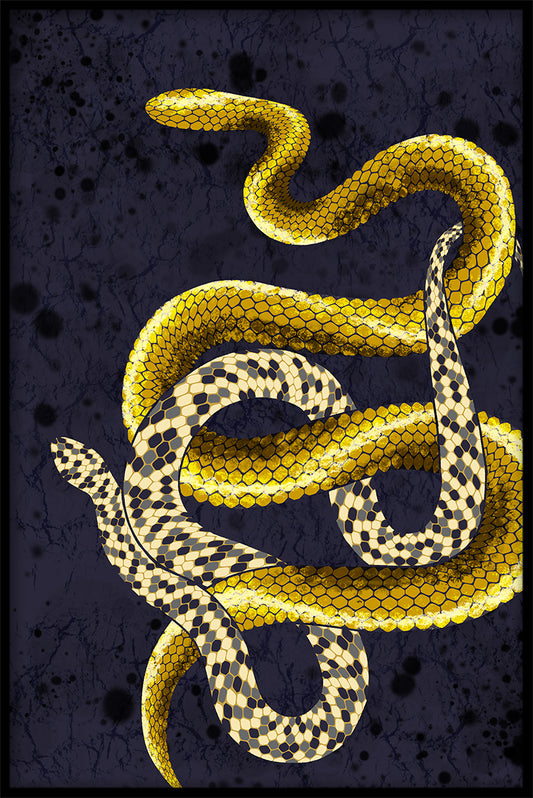 Snakes Art juliste