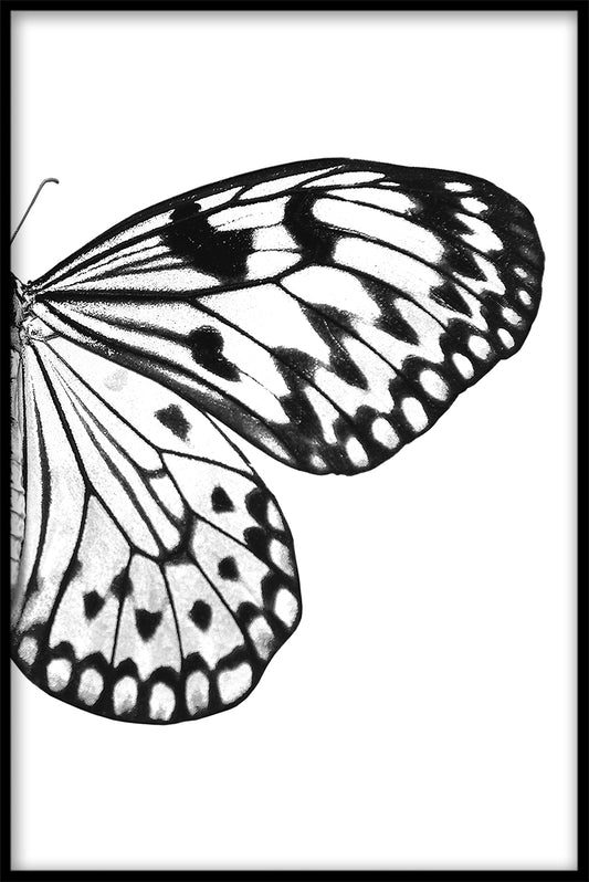 Butterfly Wing N03 juliste