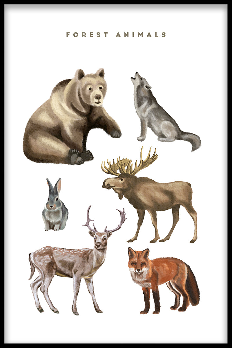 Forest Animals Illustration juliste