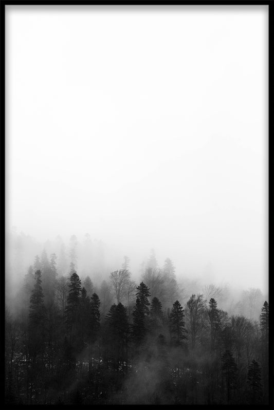 Misty Forest N02 juliste