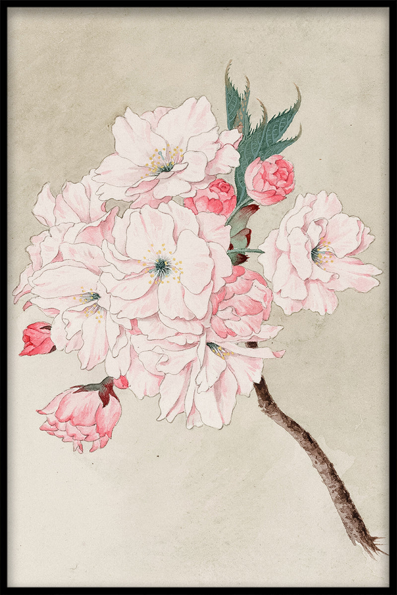 Cherry Blossom N01 juliste