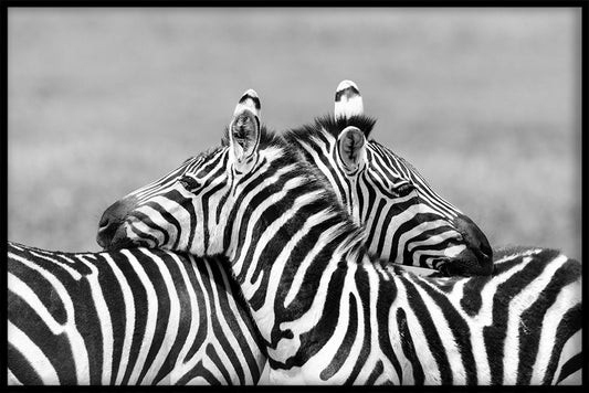 Animals Black & White N01 juliste
