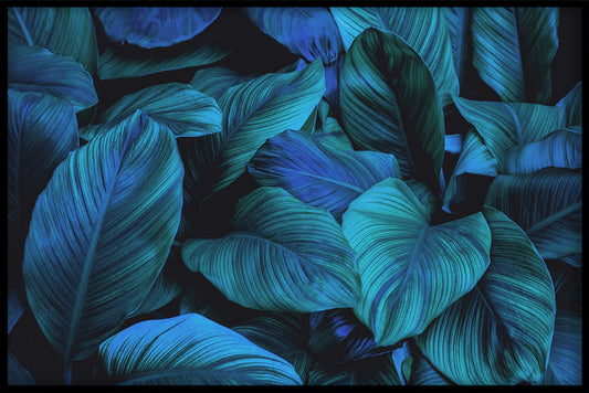 Tropical Blue juliste