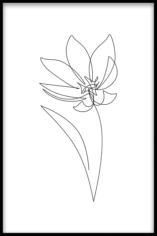 Line Art Flower juliste
