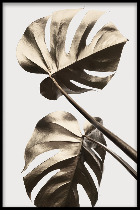 Gold Monstera N02 juliste