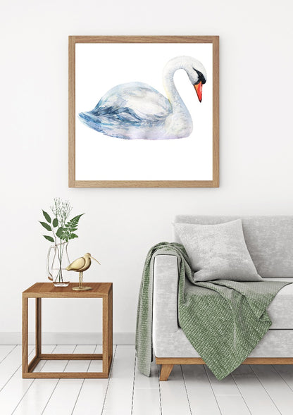 Swan Solo Watercolor