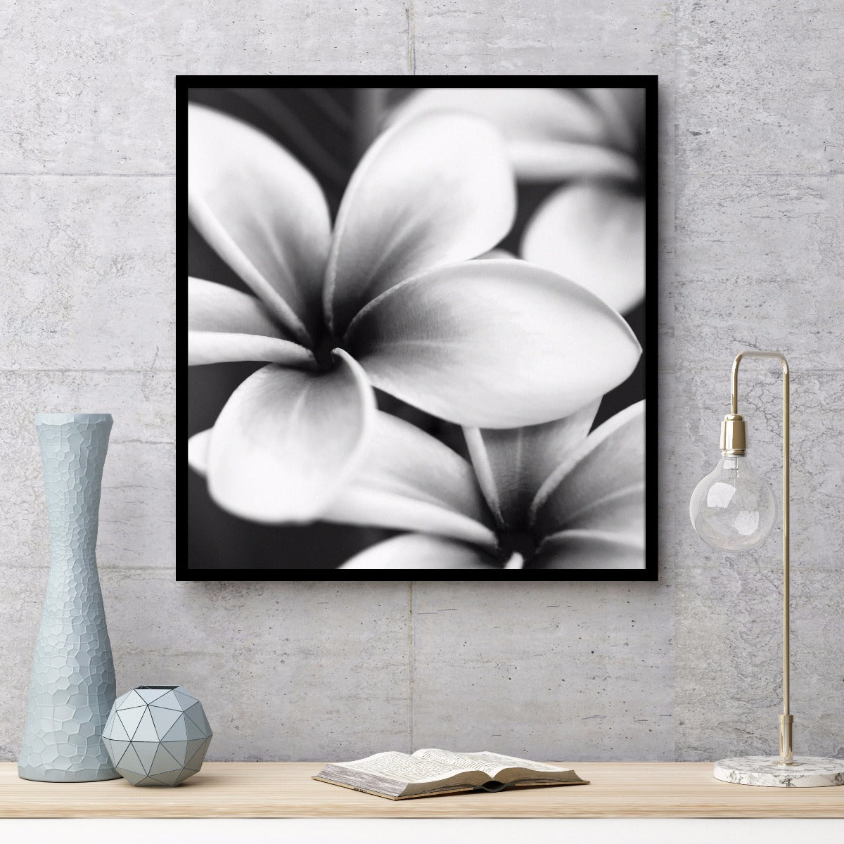 Frangipani Botanical juliste