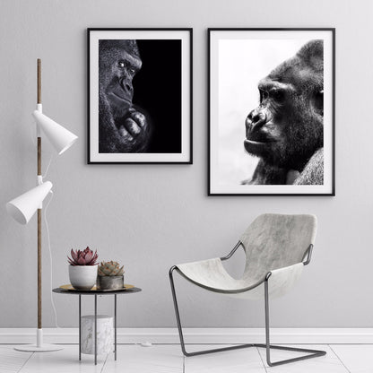 Gorilla Portrait Black & White juliste