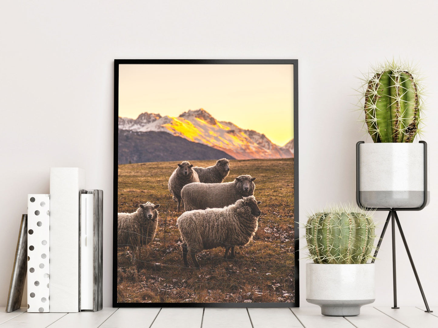 New Zealand Sheep juliste