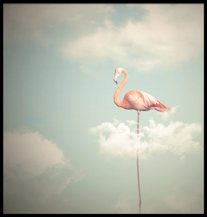 Flamingo Illustration juliste