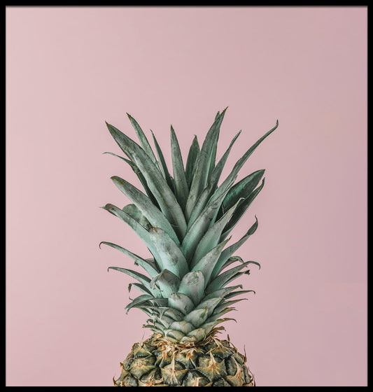 Ripe Pineapple Pink Background juliste