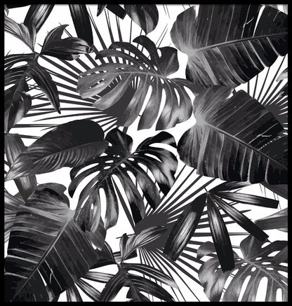 Palm Leaves Black & White juliste