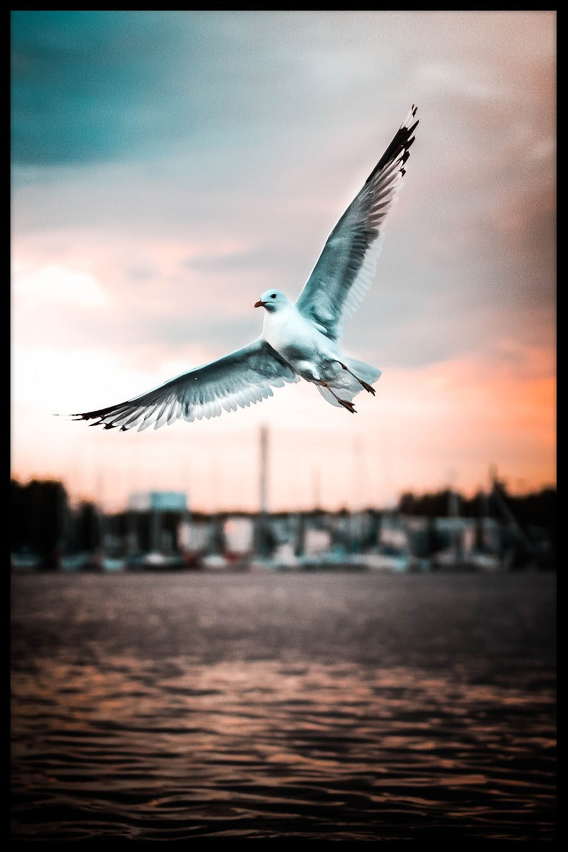 Majestic Seagull juliste